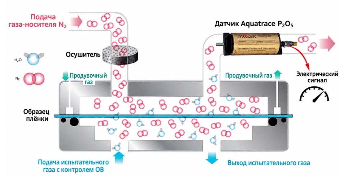 Схема измерения паропроницаемости по ASTM F3299 с датчиком P2O5